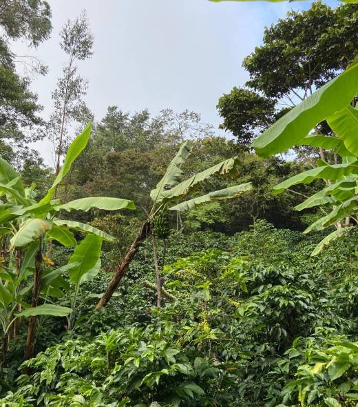 WhatsApp Image 2025-09-23 at 10.25.22 AM (2)